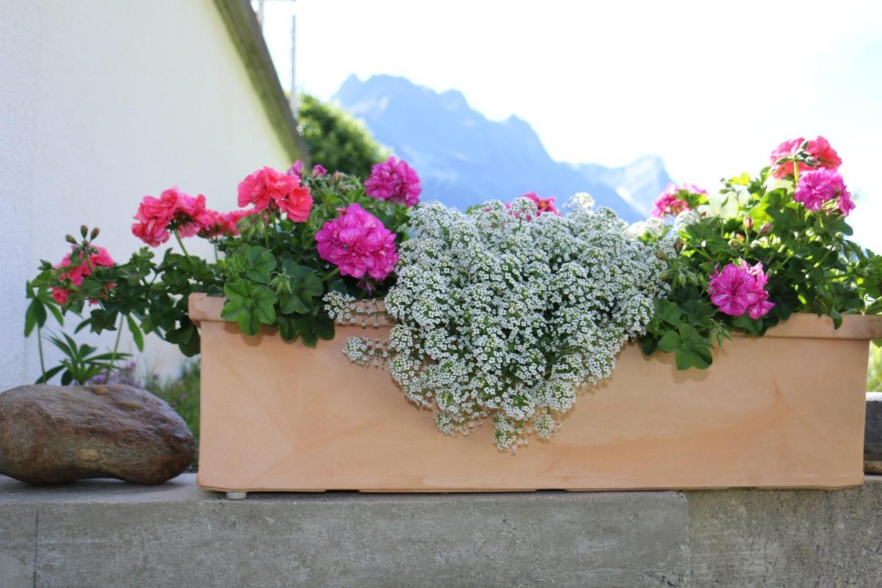 Apart Brigitta Sankt Leonhard im Pitztal Εξωτερικό φωτογραφία